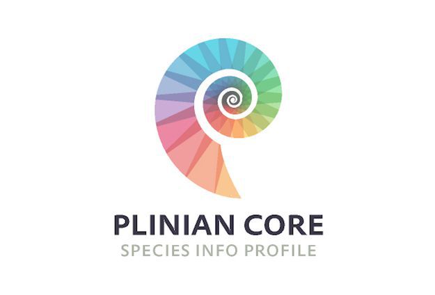 Plinian Core a reference at the National level